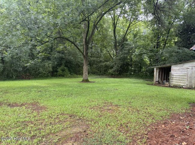 220 E Branch St, House other with 2 bedrooms, 2 bathrooms and null parking in Spring Hope NC | Image 4