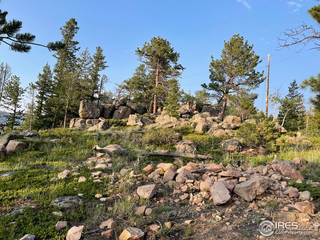 5547 N County Road 73 C, House other with 2 bedrooms, 2 bathrooms and null parking in Red Feather Lakes CO | Image 37