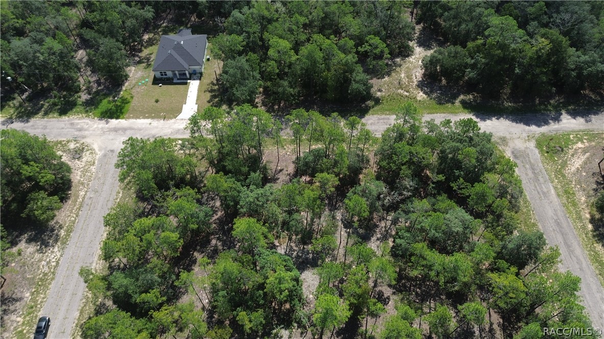 Land in Citrus Springs 4