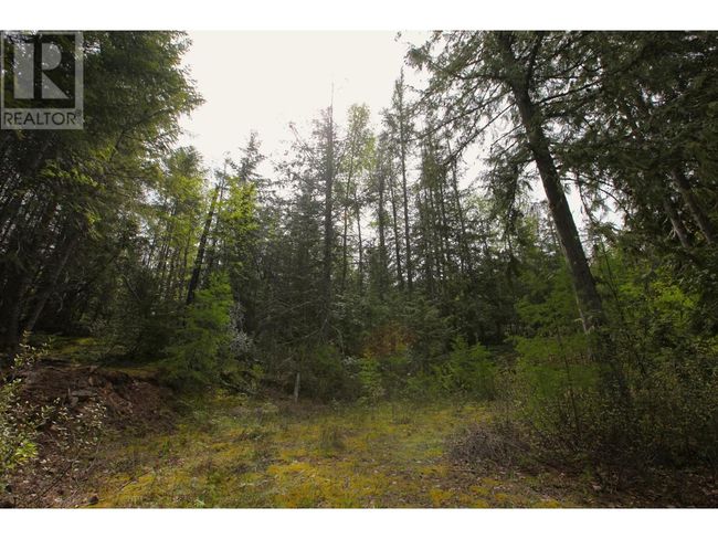 434 Lexington Ave, Home with 0 bedrooms, 0 bathrooms and null parking in Procter BC | Image 17