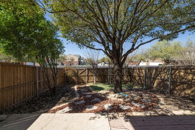 3 Crepe Myrtles Ready to Bloom | Image 27