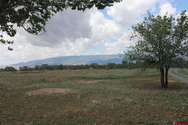 14433 2600 Rd, Home with 0 bedrooms, 0 bathrooms and null parking in Cedaredge CO | Image 45