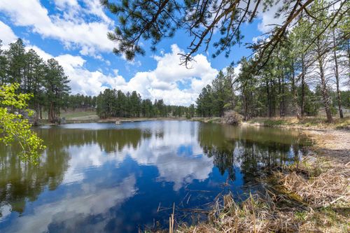 12355 Star Valley Dr, Custer, SD, 57730-9169 | Card Image