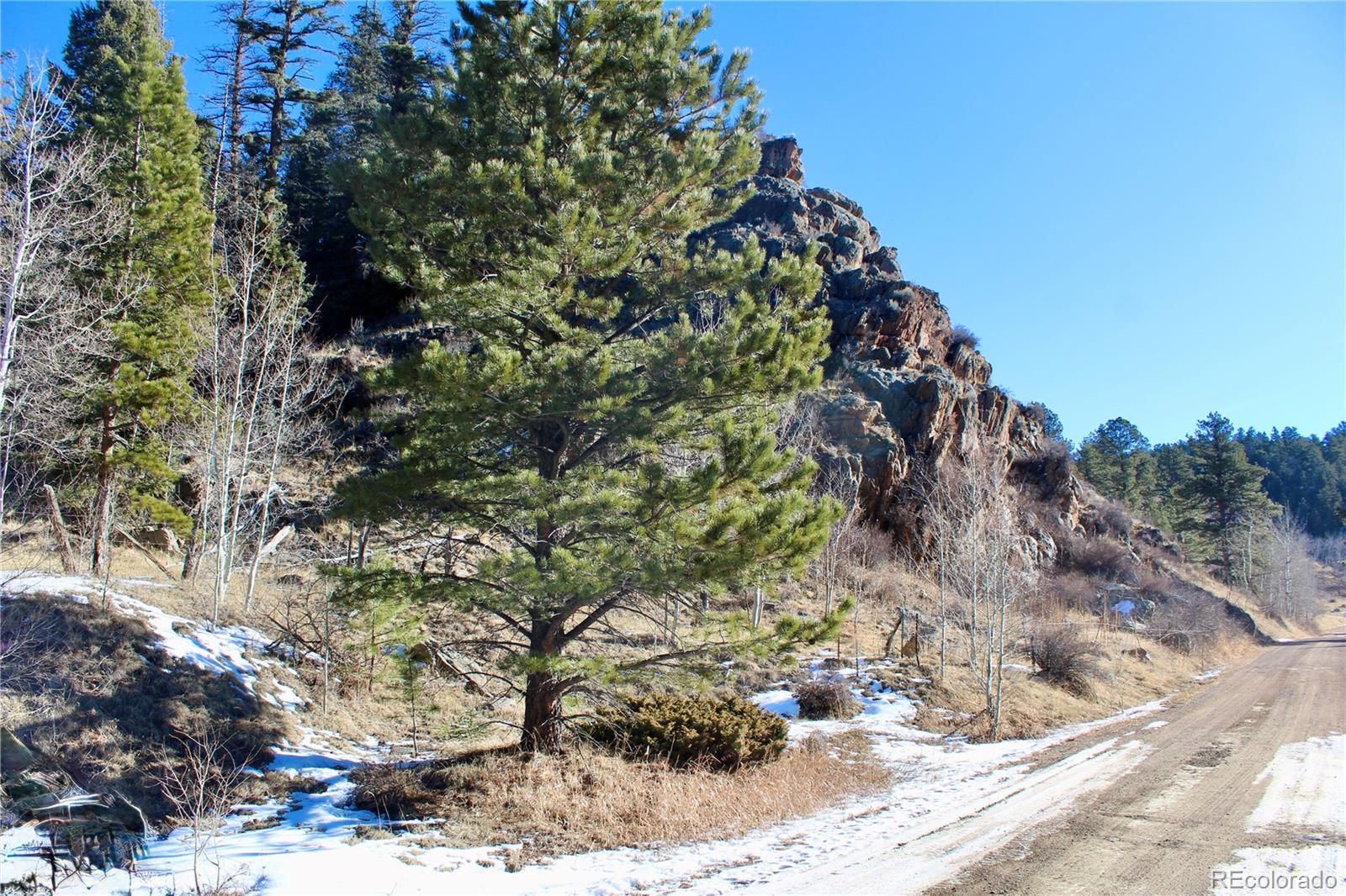 Land in Westcliffe 5