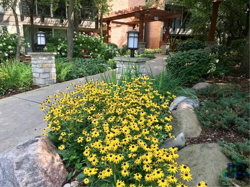 apt-2g-5900 Oakwood Dr, Lisle, IL, 60532-3004 | Card Image