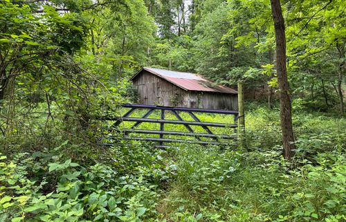 000 Farm Rd, Washburn, MO, 65772 | Card Image