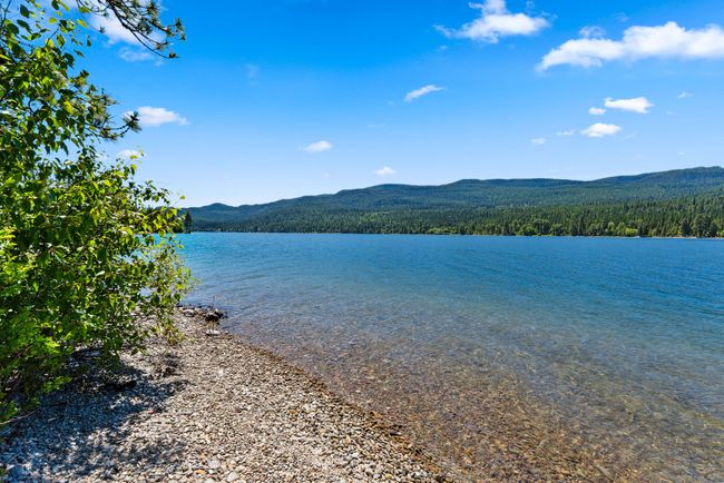 Swan Lake Shoreline view featuring a mountain backdrop and a heavily wooded area | Image 27