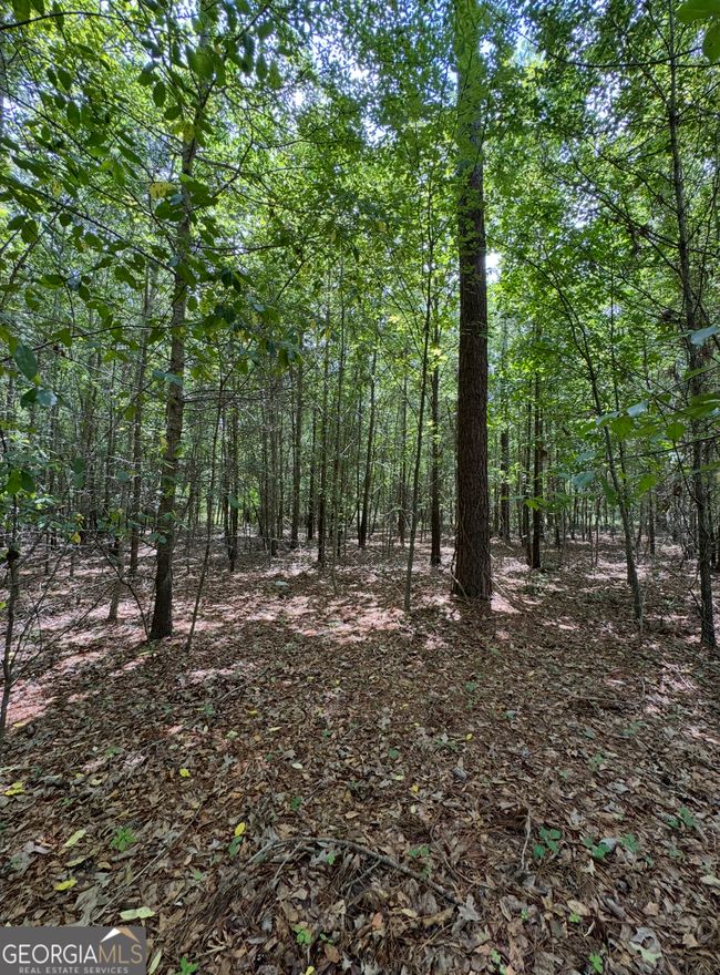 0 Tobias Rd, Home with 0 bedrooms, 0 bathrooms and null parking in Sardis GA | Image 4
