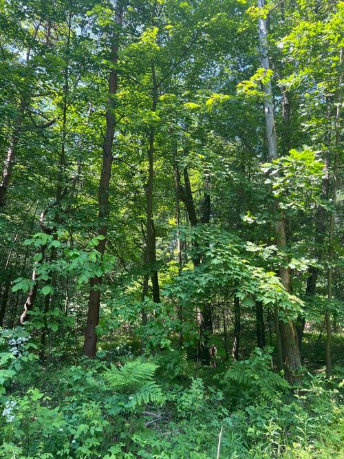 VL Blair St, West Olive, MI, 49460-9712 | Card Image