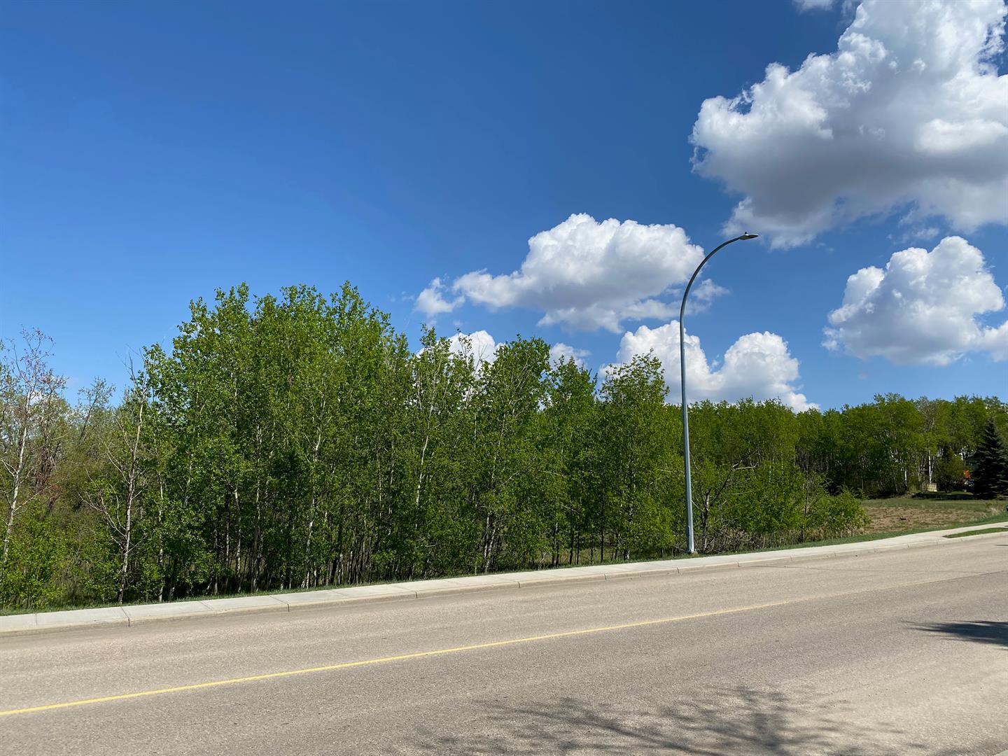 Land in Ponoka 4