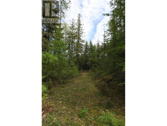 434 Lexington Ave, Home with 0 bedrooms, 0 bathrooms and null parking in Procter BC | Image 40