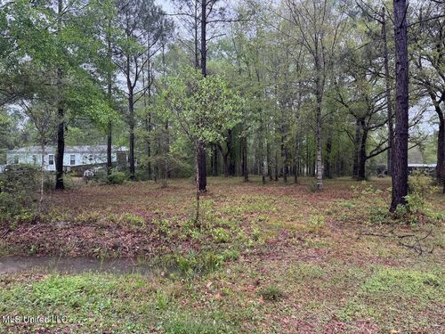 00 Camellia St, Kiln, MS, 39556 | Card Image