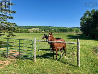 2031 Bishop Mountain Rd, House other with 4 bedrooms, 2 bathrooms and null parking in North Kingston NS | Image 2