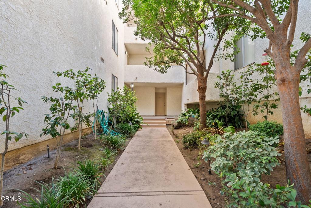 Residential in Encino 5