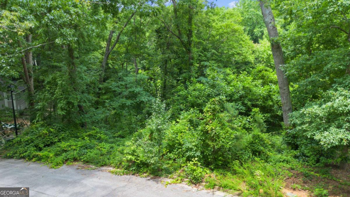 Land in Douglasville 2