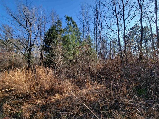 1250 Ashby Rd, Home with 0 bedrooms, 0 bathrooms and null parking in Centertown KY | Image 15