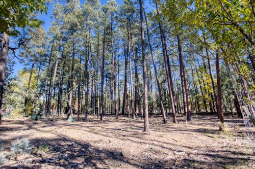 040D Vallery Ln, Lakeside, AZ, 85929 | Card Image