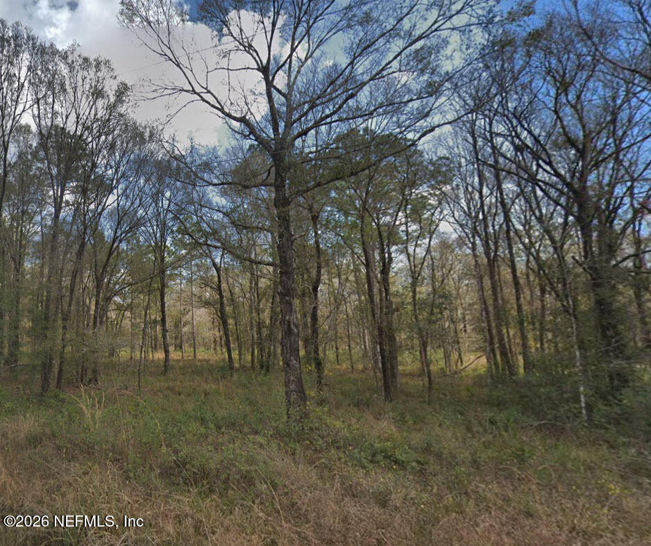 Land in Hastings 2