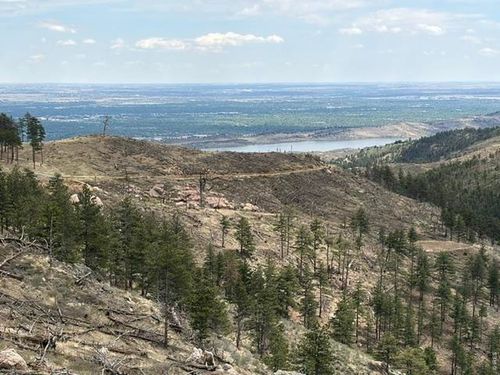 711 Saddle Ridge Rd, Bellvue, CO, 80512 | Card Image