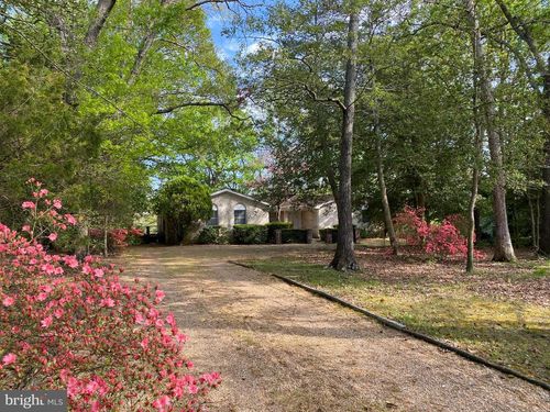 22186 Monterey Pl, LEONARDTOWN, MD, 20650-2818 | Card Image