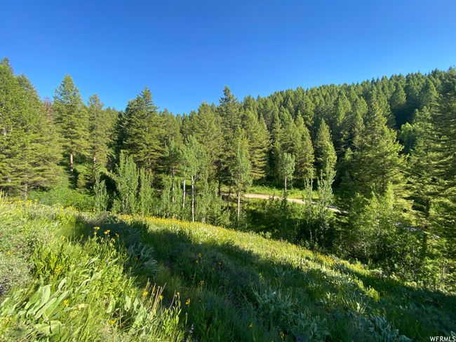 View of nature | Image 5