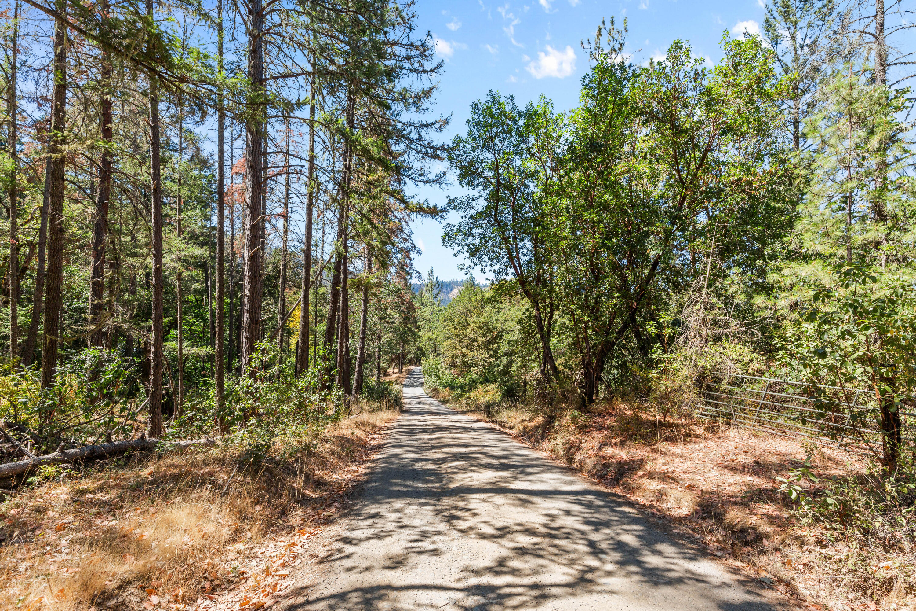 Land in Applegate 2