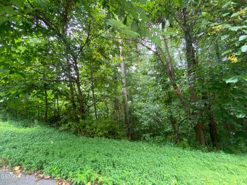 0 Eagle Cove Pkwy, Maynardville, TN, 37807 | Card Image