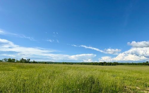 1 Topsy Rd, Waynesboro, TN, 38485 | Card Image