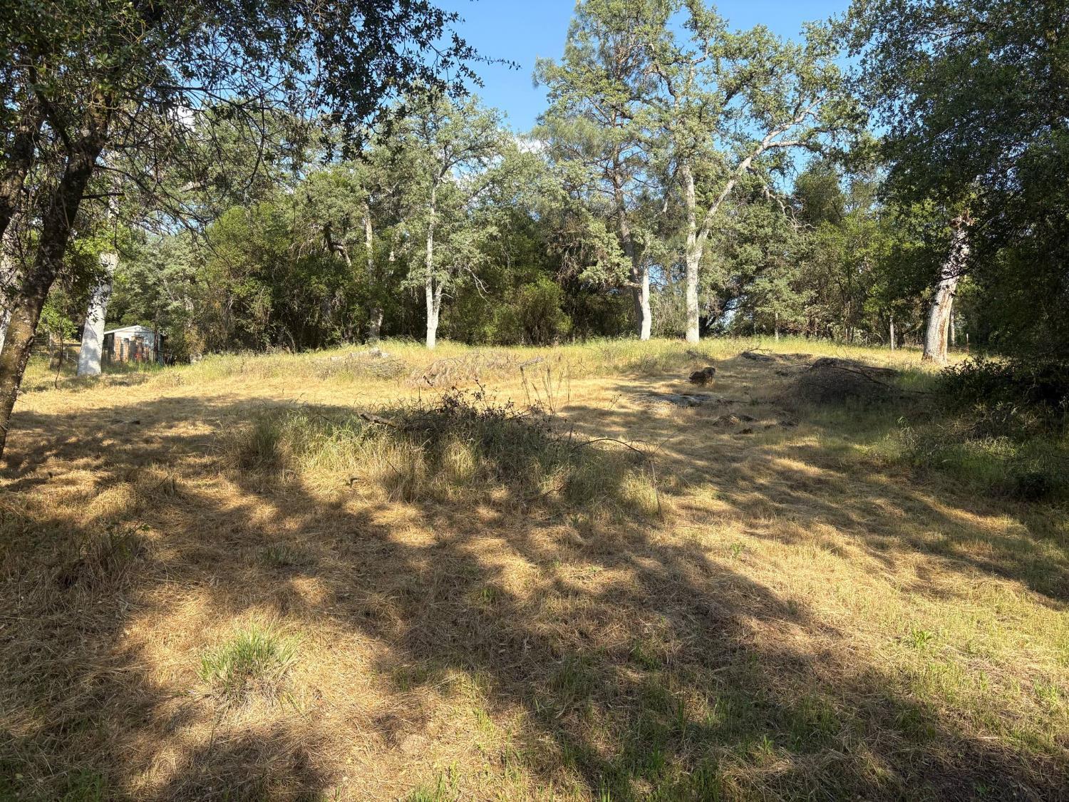 Land in Coarsegold 4