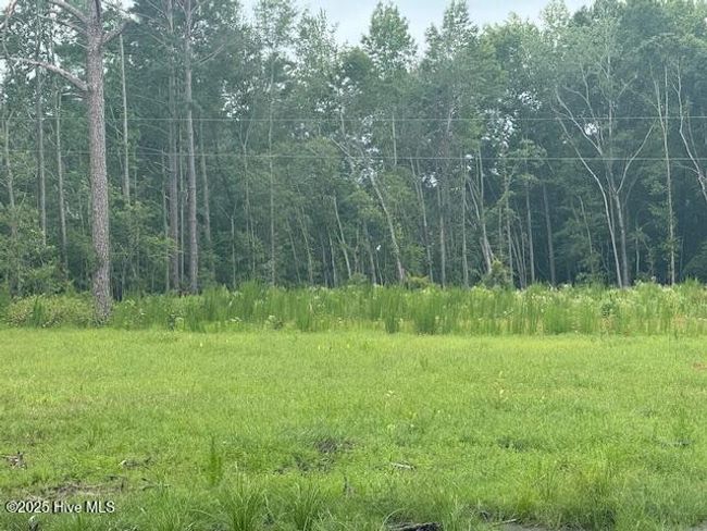 751 Stack Turner Rd, Home with 0 bedrooms, 0 bathrooms and null parking in Chadbourn NC | Image 11