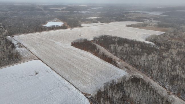 DJI_20241211150826_0401_D.JPG | Image 36