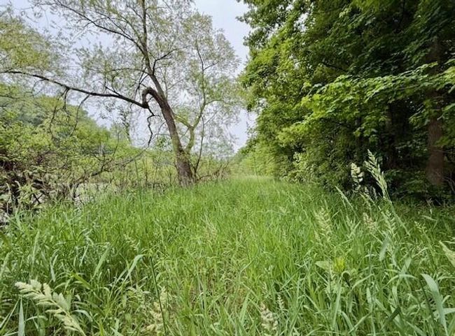 15326 Madron Lake Rd, Home with 0 bedrooms, 0 bathrooms and null parking in Buchanan MI | Image 7