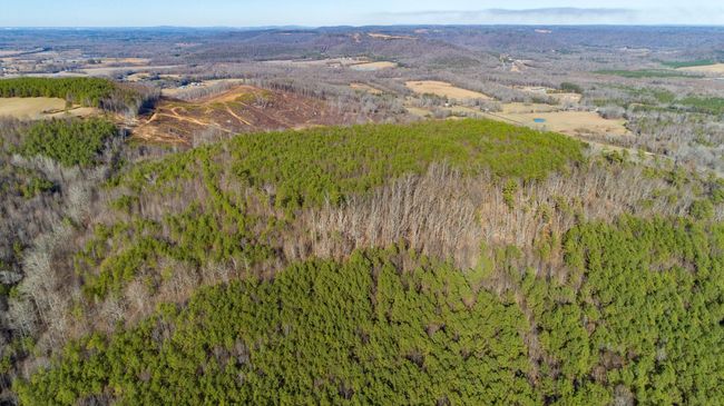 0 Rock Creek Rd, Home with 0 bedrooms, 0 bathrooms and null parking in Eva AL | Image 17