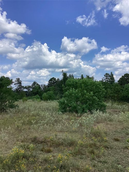 0 County Road 288, Garrison, TX, 75946 | Card Image