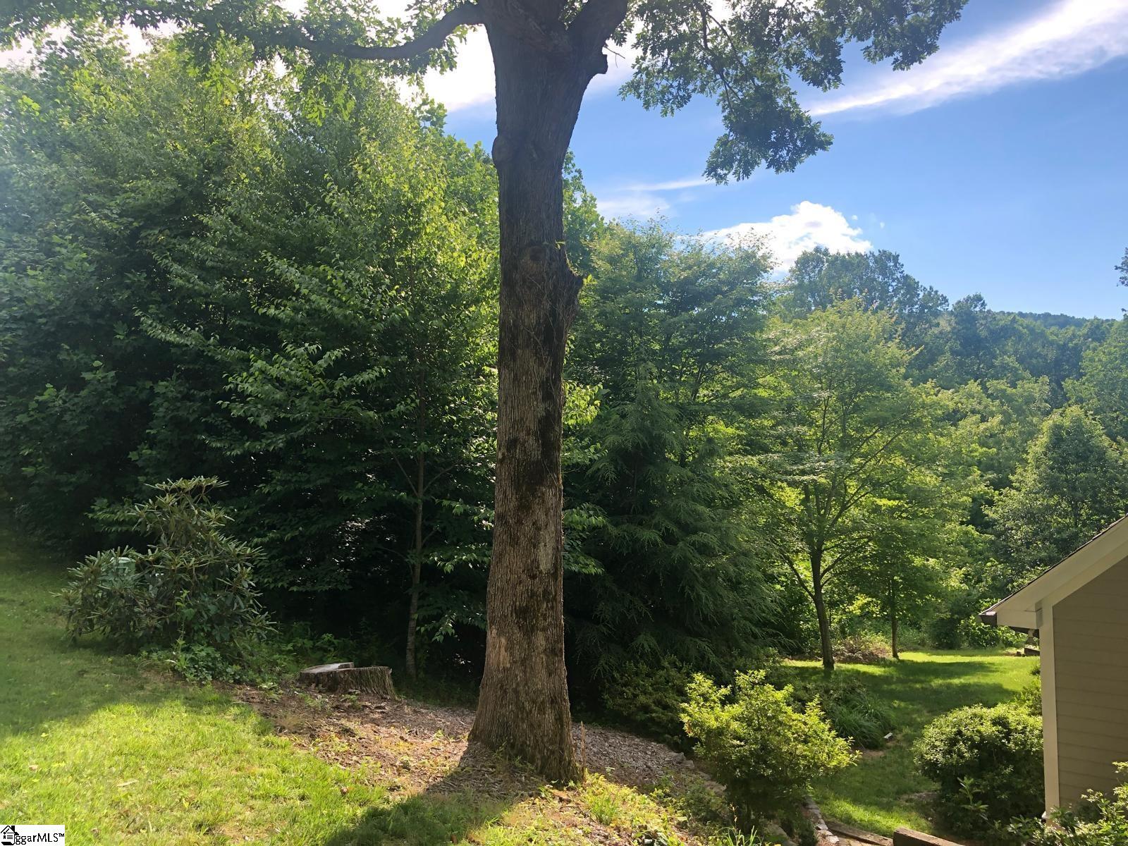 Land in Landrum 3