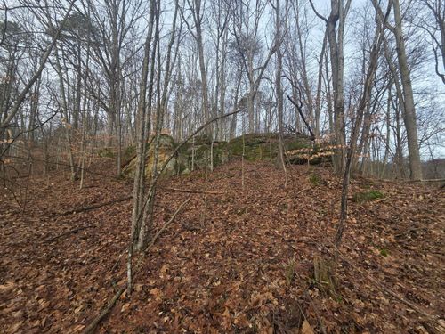 12001 W Buck Run Road, Rockbridge, OH, 43149 | Card Image