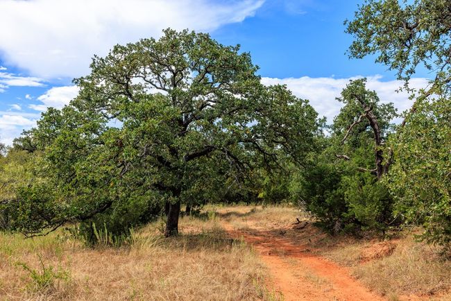 5 - 0B Ranch Road 1323, Home with 0 bedrooms, 0 bathrooms and null parking in Willow City TX | Image 20