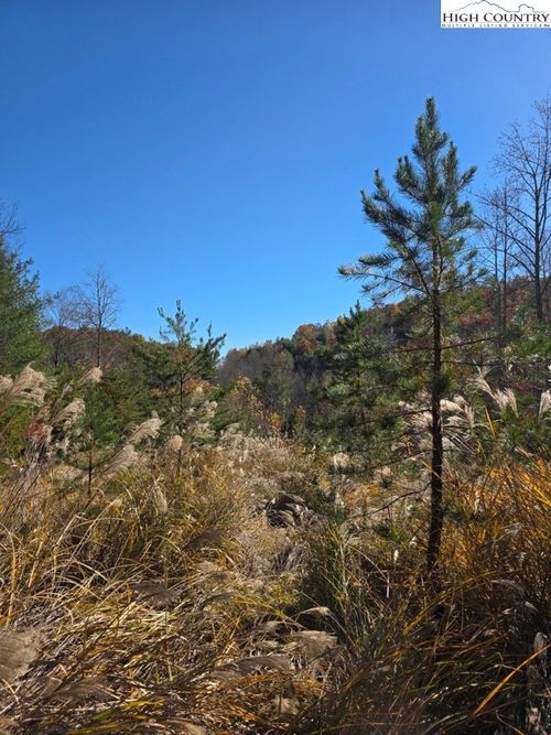 TBD Browntown Rd, Millers Creek, NC, 28651 | Card Image