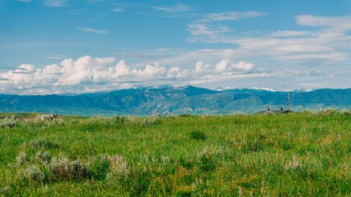 block-4-lot-1-TBD N Sheridan Ave, Sheridan, WY, 82801-4436 | Card Image