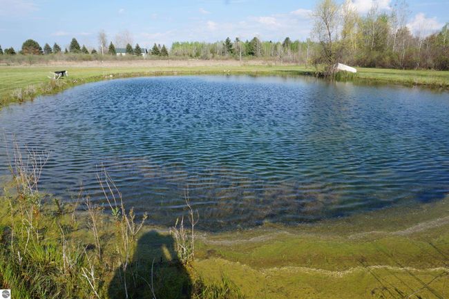 1758 E Manor Rd, House other with 4 bedrooms, 3 bathrooms and null parking in Au Gres MI | Image 50