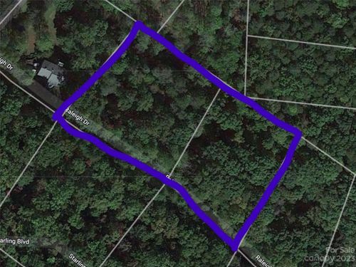 Lots 8 & 9 Raleigh Drive, Lake Lure, NC, 28746 | Card Image