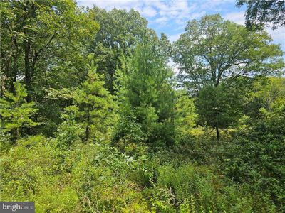 LOT-148 - Fox Lane, Home with 0 bedrooms, 0 bathrooms and null parking in Jim Thorpe PA | Image 2