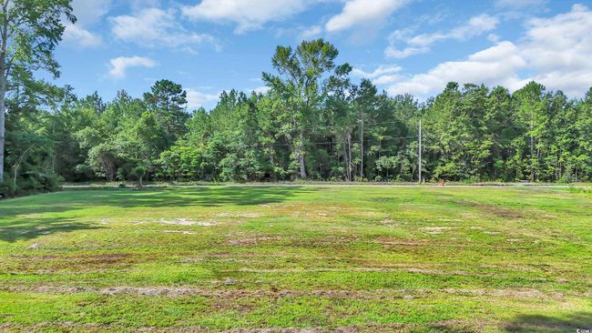 3845 Hillside Dr, Home with 0 bedrooms, 0 bathrooms and null parking in Conway SC | Image 31