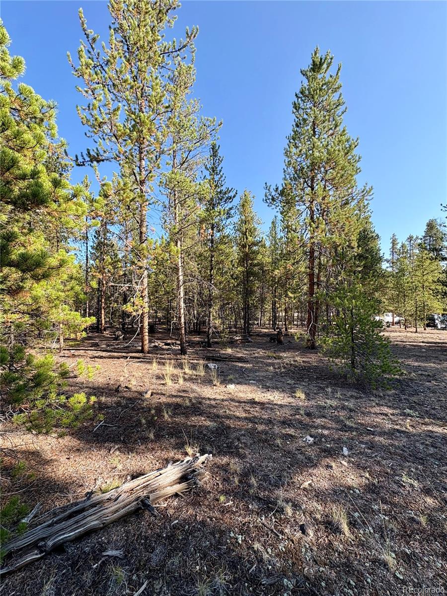 Land in Twin Lakes 3
