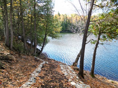 Lot 4C Carmichael Road, Littleton, ME, 04730 | Card Image