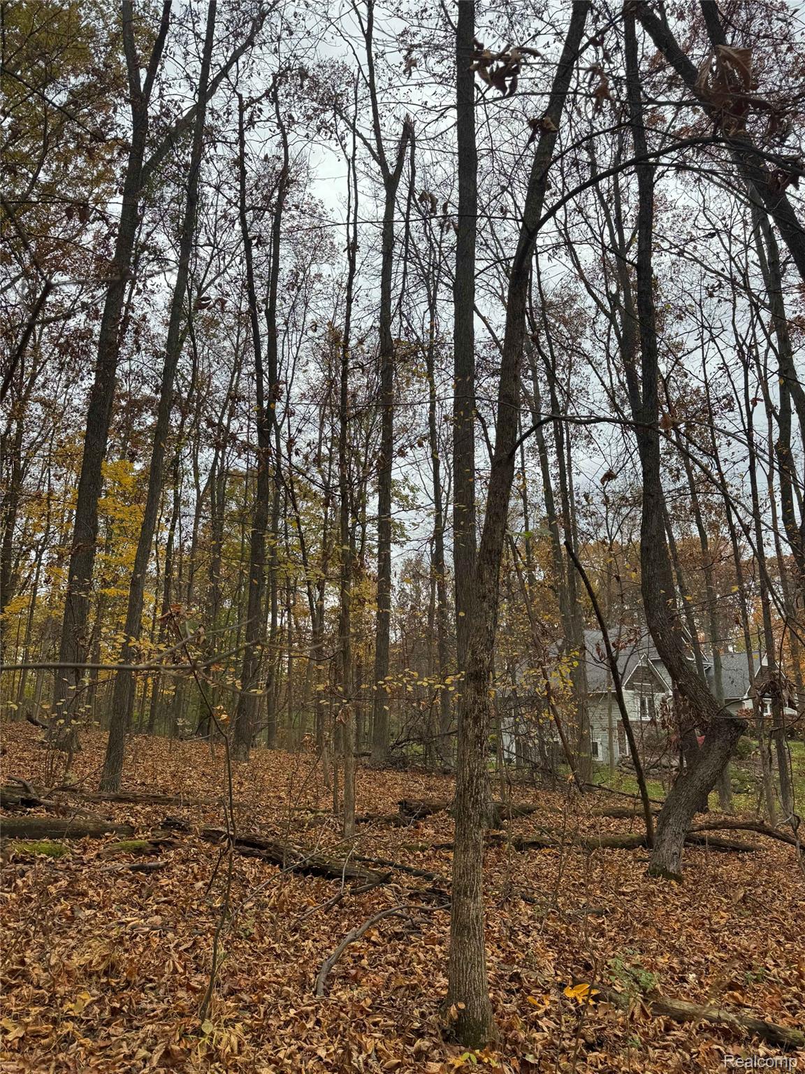 Land in Webster Township 2