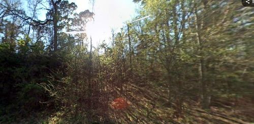 TDB Rio Vista Dr, Livingston, TX, 77351 | Card Image