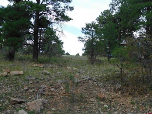 49 Masters Cir, Pagosa Springs, CO, 81147-9302 | Card Image