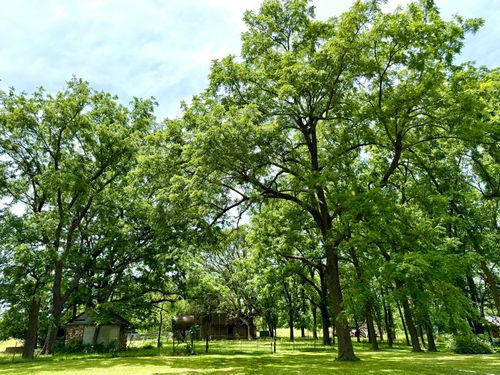 000 W Farm Road 94, Willard, MO, 65781 | Card Image