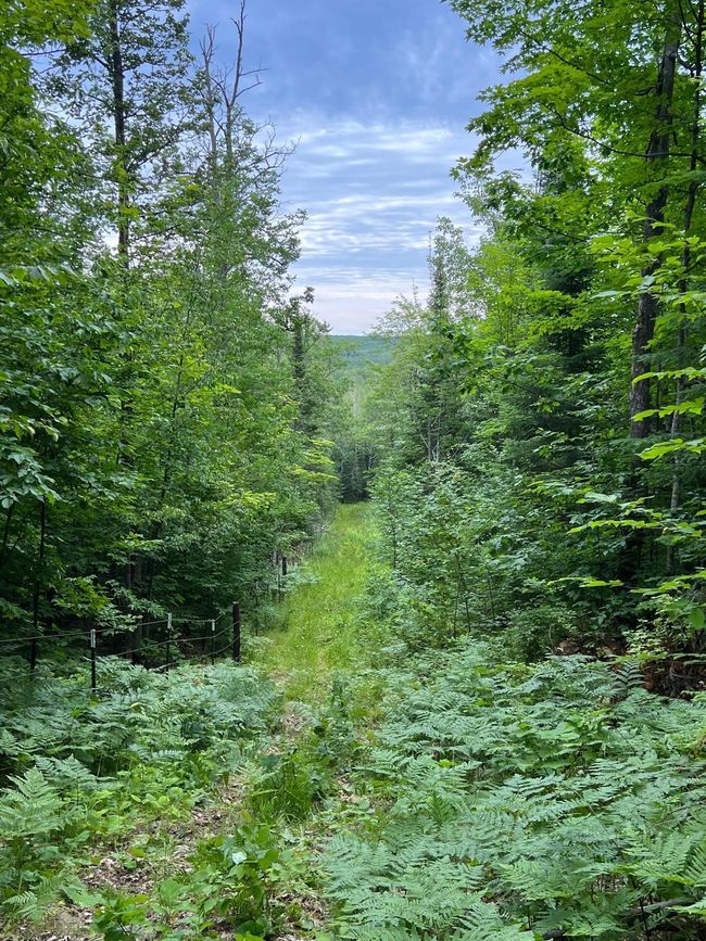 Trail network on land | Image 18
